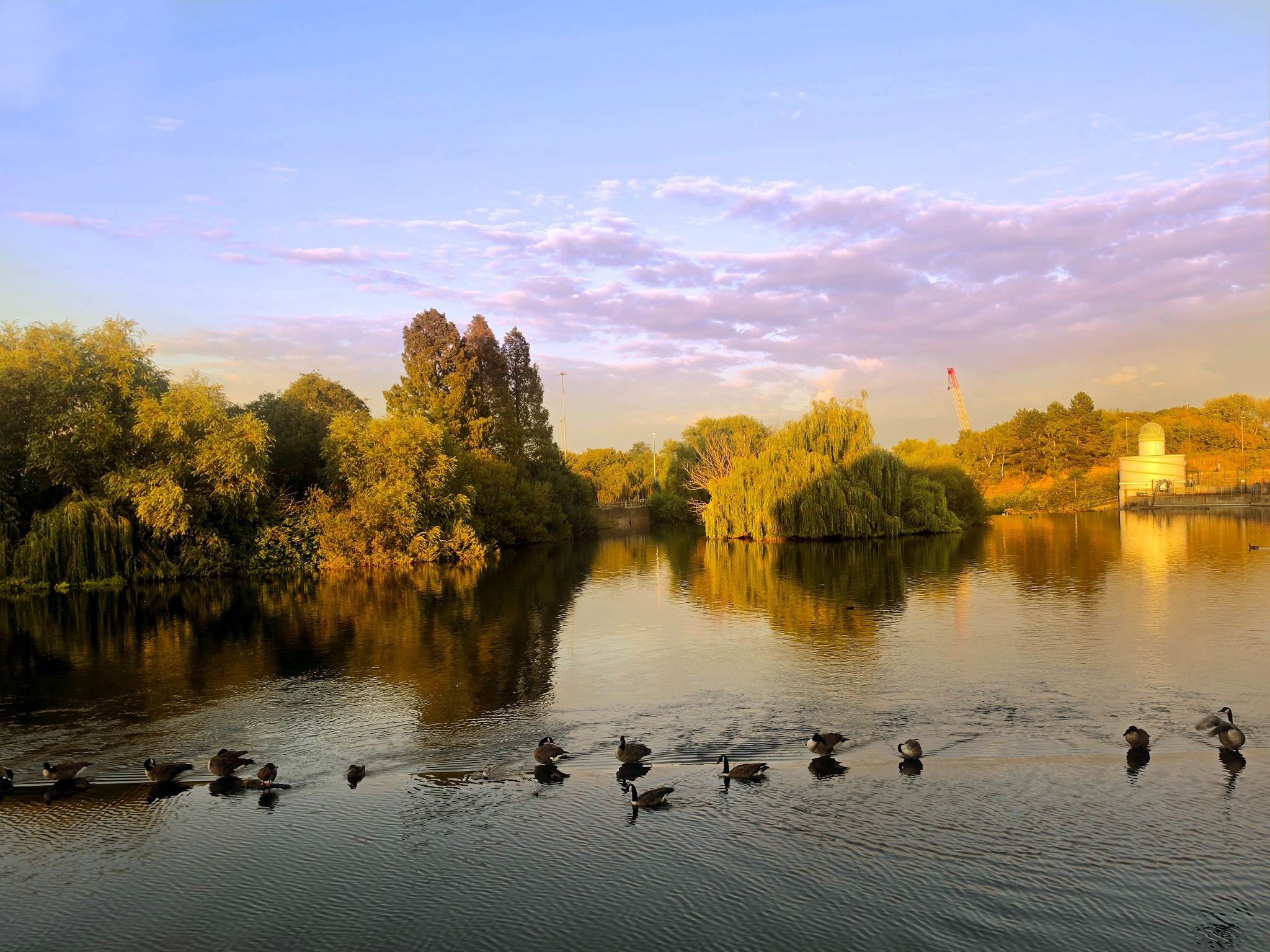 The Evening Gathered Here